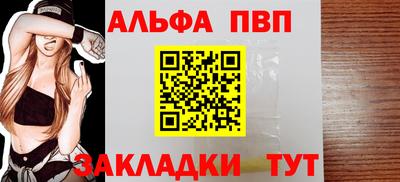 крисы Кулебаки