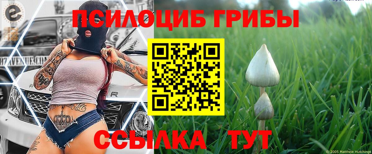 Жуковский  Галлюциногенные грибы GOLDEN TEACHER  Вход с VPN 