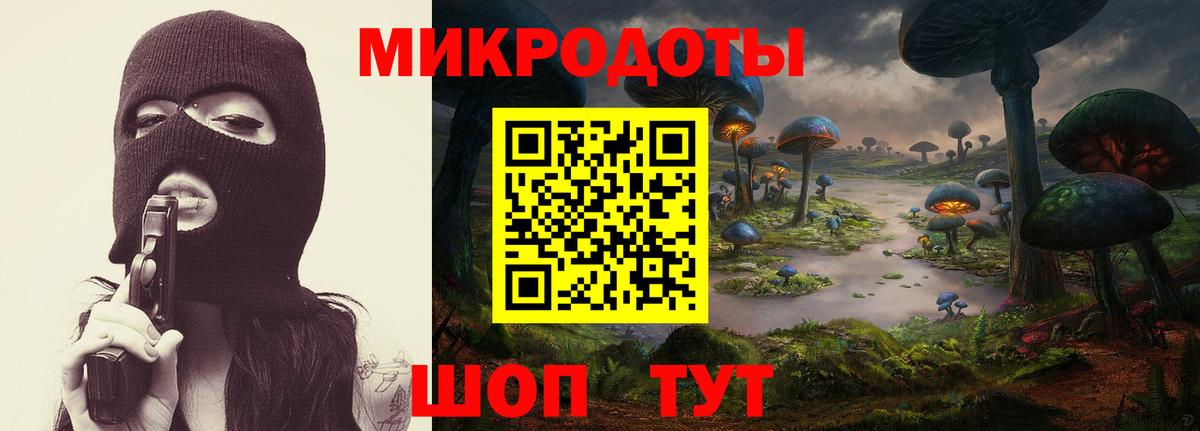 Псилоцибиновые грибы GOLDEN TEACHER Жуковский